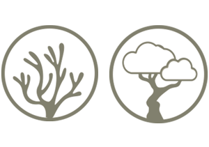 ΤΕΧΝΟΛΟΓΙΑ KINMEN