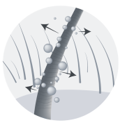 Alkaline PH Alkaline PH