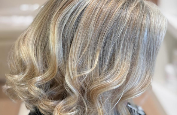 HIGHLIGHTS